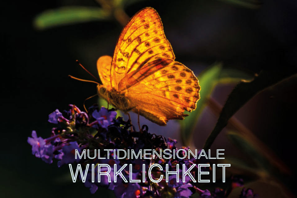 Multidimensionale Wirklichkeit 2025 | 2 (Nr. 111)