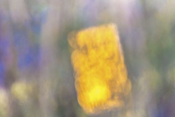 Das 39. SETH-Treffen (2020) wird in den Sommer 2021 verschoben