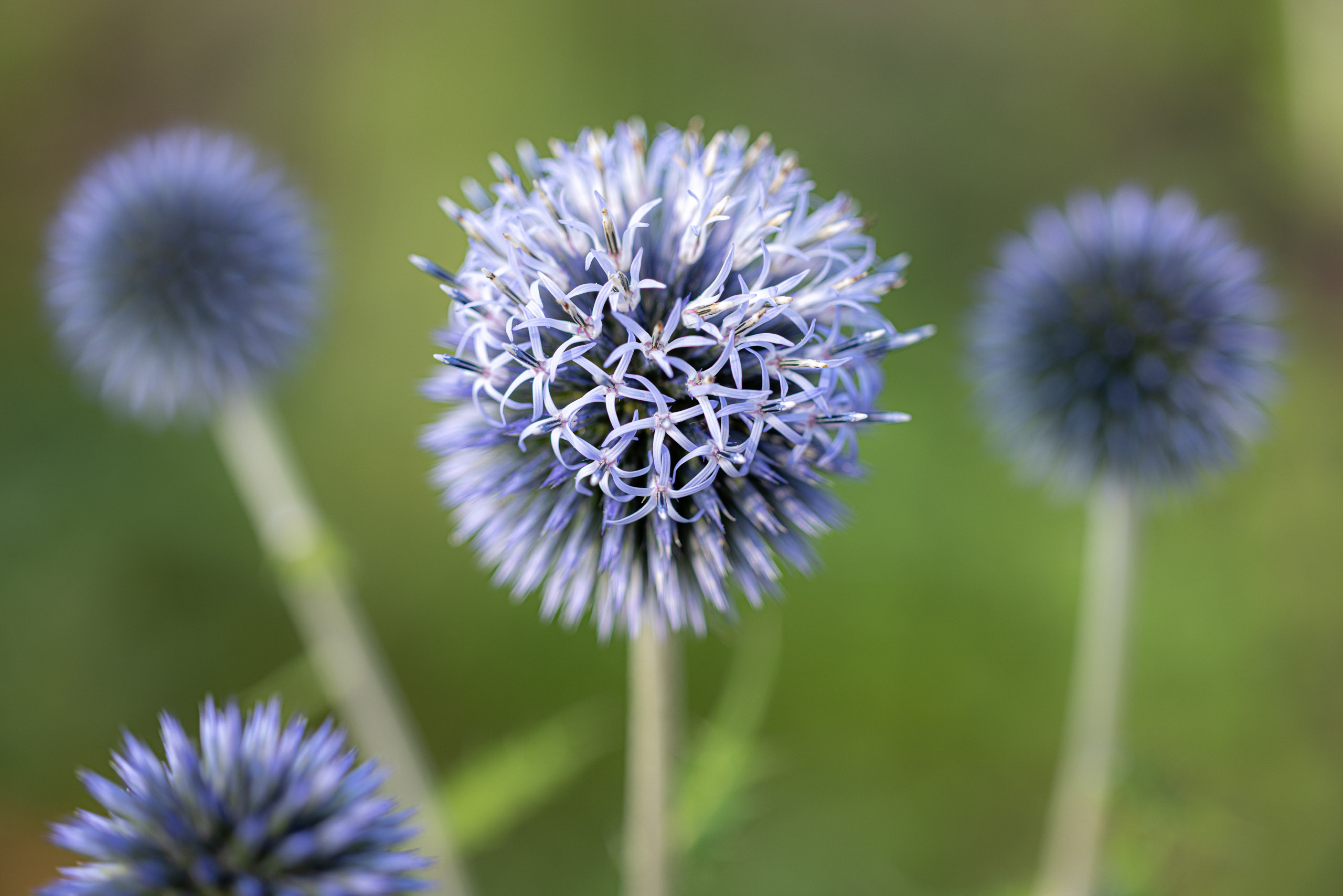 20240724172324 R5D 1996